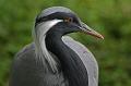 Zoo Schmiding 006